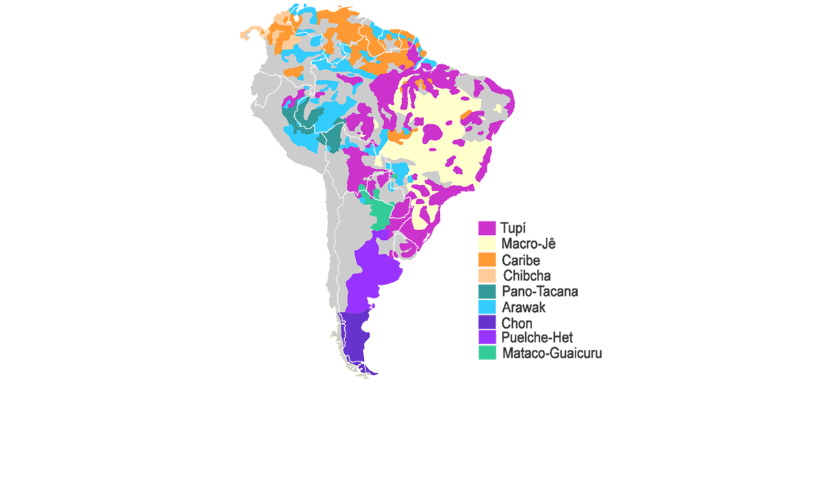 Linguas Indigenas